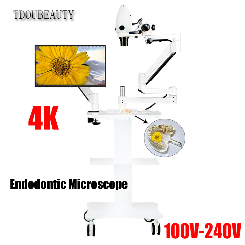 Teeth Whitening Video - Mikroskop elektronowy dentystyczny 4K, 20 milionów