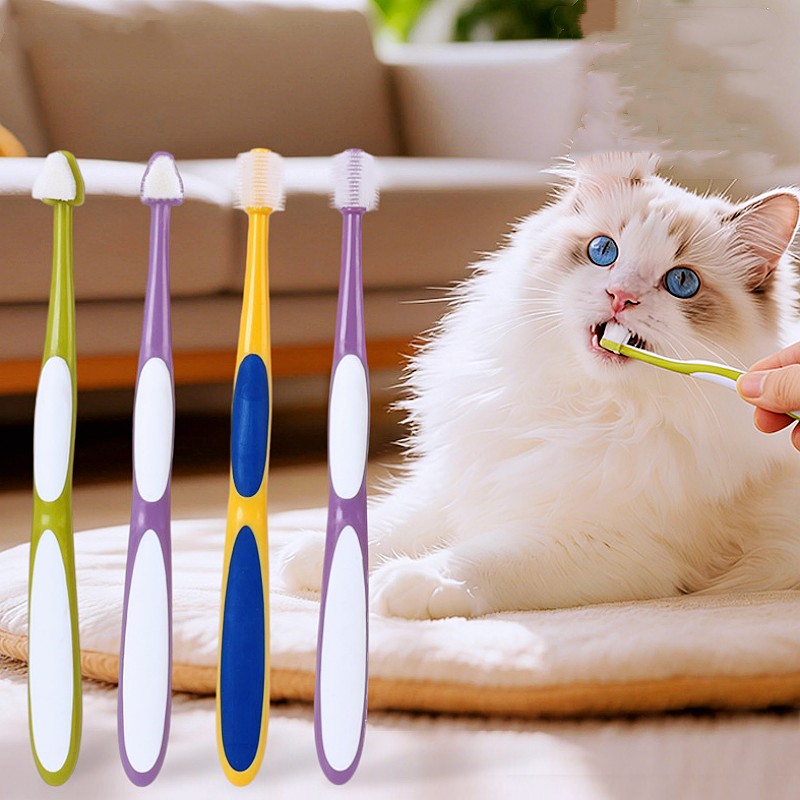 Szczoteczka do zębów dla psa 3 – Teeth Whitening Brush recenzja i cena