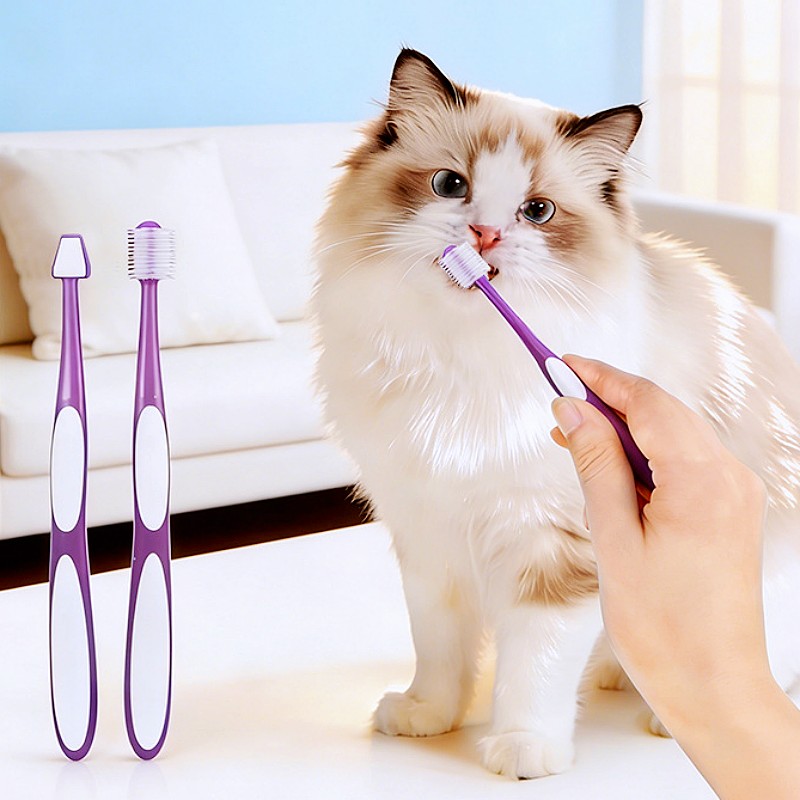 Szczoteczka do zębów dla psa 3 – Teeth Whitening Brush recenzja i cena