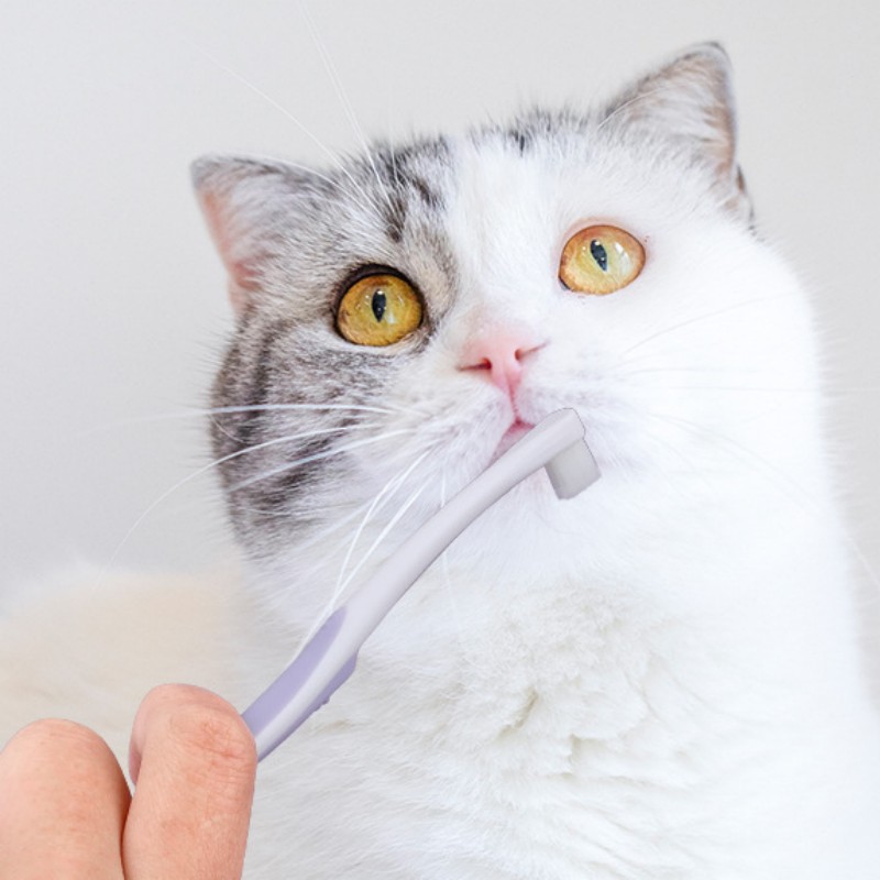 Szczoteczka do zębów dla psa,  – Teeth Whitening Brush recenzja i cena