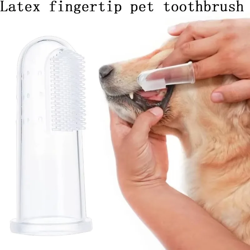 Super Miękka Szczoteczka do Zę – Teeth Whitening Brush recenzja i cena