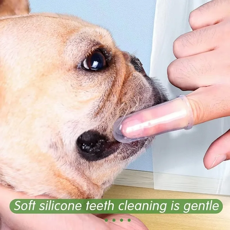 Super Miękka Szczoteczka do Zę – Teeth Whitening Brush recenzja i cena