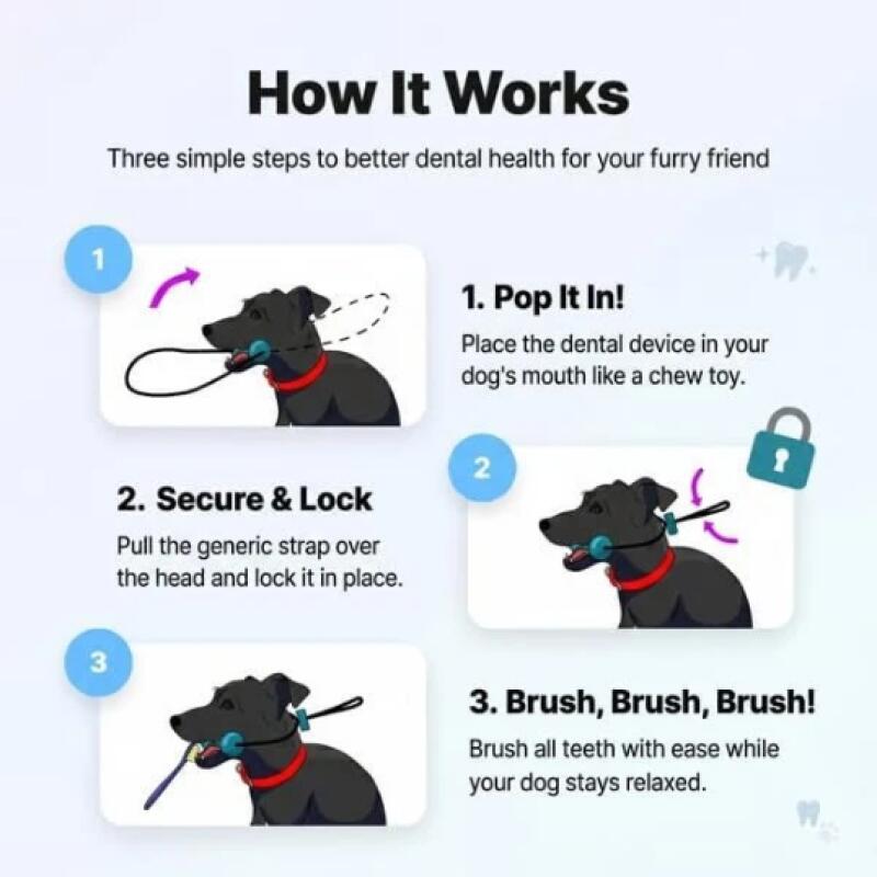 Wielofunkcyjna gryzak do czysz – Teeth Whitening Brush recenzja i cena