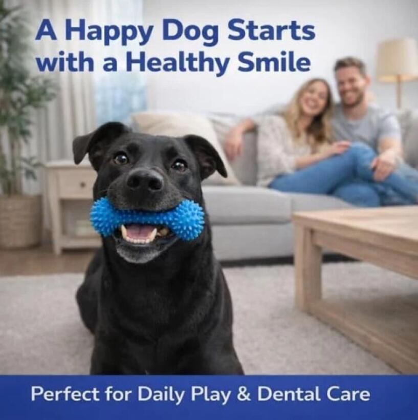Wielofunkcyjna gryzak do czysz – Teeth Whitening Brush recenzja i cena
