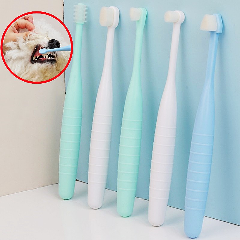 Szczoteczka do zębów dla psów  – Teeth Whitening Brush recenzja i cena