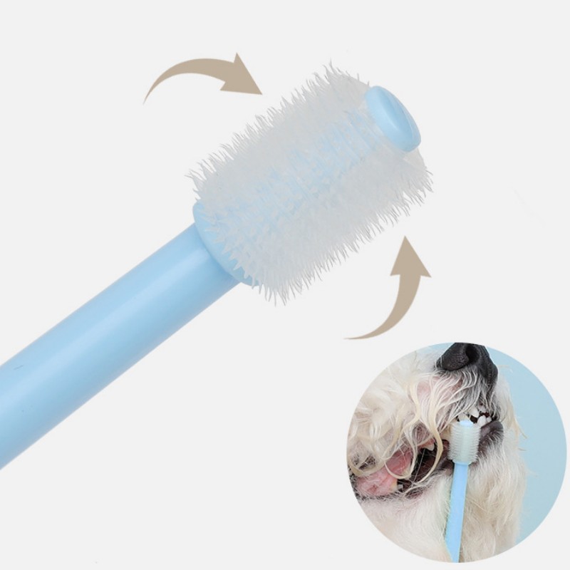Szczoteczka do zębów dla psów  – Teeth Whitening Brush recenzja i cena