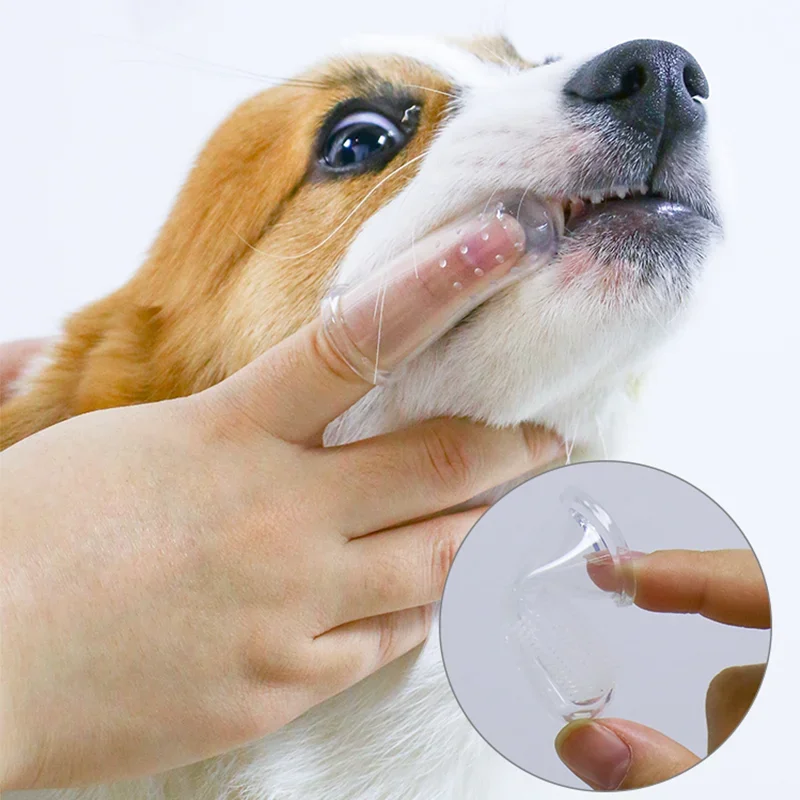 Super miękka szczoteczka do zę – Teeth Whitening Brush recenzja i cena